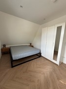 IMG_9041 2 Medium.jpeg